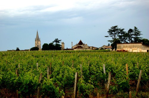 vignobles-caves-bordeaux
